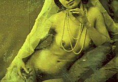 secret erotic confessions of victorian gentleman hairy pussy desires revealed