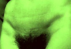 secret erotic confessions of victorian gentleman hairy pussy desires revealed