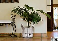 Joshua Lewis jerks furiously over Lauren Phillips' huge tits