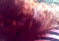 gangbang crossdresser mamando motorista no transito