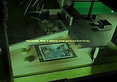 check out alternate existence game 46