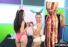 College Blonde Brunette Petite Bunnies Ride Doggystyle in Rough Easter Foursome