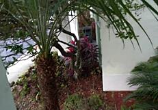 i invite my buzz cut european neighbor for hard bbc pounding stateside