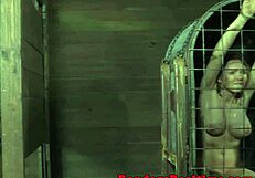 i bind bella rossi's big tits for rough pogo bdsm domination