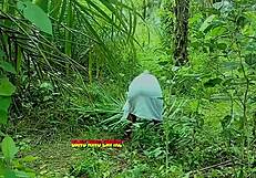 made her squirt loud twice in the bushes with my monster cock