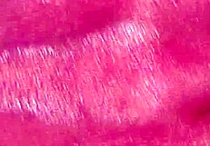 Arab Wife's Closeup Anal POV Ride on Huge Friend Cock