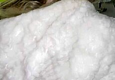 Wanna know how stepson rams his huge cock in kitchen after hubby leaves?