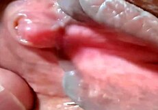 Amateur's Pink Shaved Pussy Closeup Post-Virginity