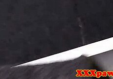 ever wonder what happens when pawee gets doggystyled sucking broker's pole?