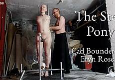 Bound On Steel Pony She Trembles Through Endless Bondage Orgasms And Squirts