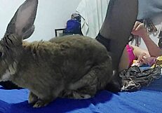 sexy satin panties cling as french babe licks ass hole in dirty pov doggystyle