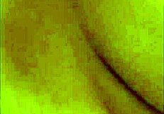 the horny oakland milf sneaks away from her man for that massive cock in her tight chubby pussy