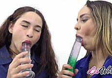 oh man thick latina lesbians lick pussies use toys an' hit climax together