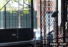 PurgatoryX Khloe Kapri Takes BBC Facial in Gloryhole Cuckold Scene