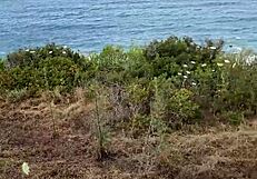 i exposed my petite milf body outdoors in nature during cyprus trip with homemade couple blowjob