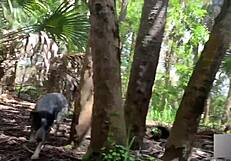 Fucking Athletic Blonde in Florida Swamp Outdoor Public POV Moaning Blowjob