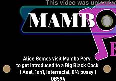 ready for alice gomes to take big black cock anal with dirty talk and ass shaking?