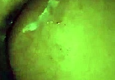 late night pounding stepbrother's monster cock deep in curvy pussy ends with hot cumshot on ass