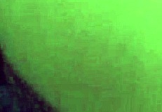 Peruvian Wife Begs Me Film Her Fuck and Cumshot Cover