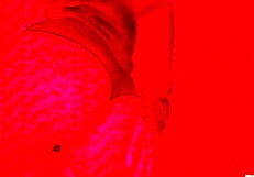 emo girl shows off her huge perfect ass