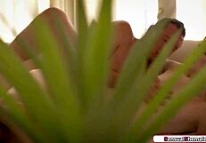 Stepbrother Barebacks Trans Natalie Stone Ass Licking Gay Taboo Ride