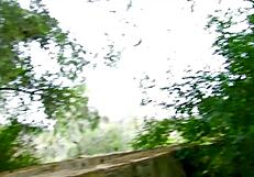Deepthroat blowjob amid nature's thrill with big tits bouncing