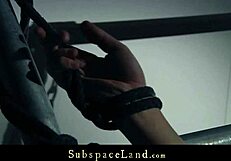 hey, watch young alexis bound and vibed to screaming submission!