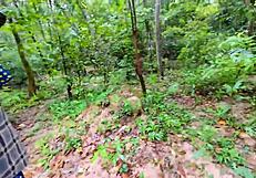 THAI GIRL HIKES FOREST STOPS FOR DOGGY CREAMPIE BEFORE MUSHROOM PICKING VOICE THAI 4K