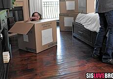Brunette Stepsister Loses Virginity POV Fuck