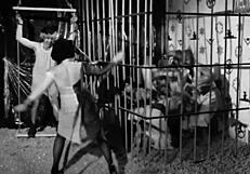 Forbidden Zone Full Interracial Classic Movie 1982 Danny Elfman!