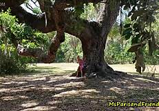 ms paris yells i caught you voyeurs watching my park doggystyle cumshot