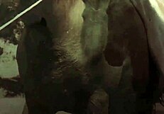 dark lantern slides into vintage hairy pussy riding action