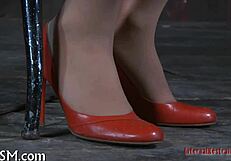 bdsm slut endures electro shocks and painful castigation torment