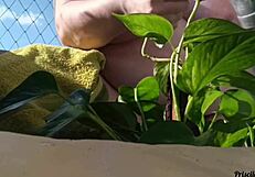 watering my plants totally naked on the balcony for anyone to see - part 02 with big natural tits flashing
