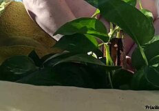 watering my plants totally naked on the balcony for anyone to see - part 02 with big natural tits flashing