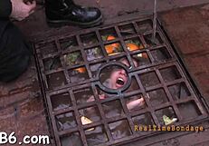 Facial castigation for pretty babe in bondage