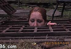 Facial castigation for pretty babe in bondage