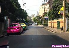 Cute ladyboy gets assfucked deeply
