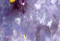 outdoor tiny 18+ clit pissing and sissy body show