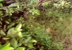 indian beauty aunty village sex