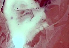 20yo virgin pussy lights up wet tissue paper in close up
