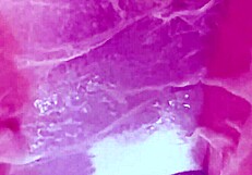 20yo virgin pussy lights up wet tissue paper in close up