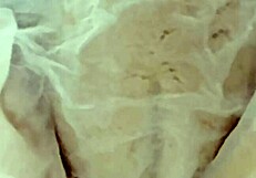 20yo virgin pussy lights up wet tissue paper in close up