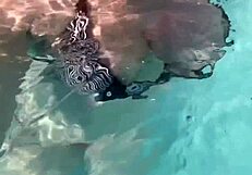 Artemisia love is at the pool flashing her juicy boobs 😍