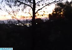Strange girl in the woods pissing horny and sucking me off