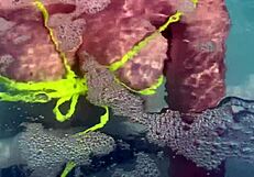 Artemisia love flashing her juicy big tits underwater for you and smoking a cigarette