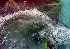Artemisia love flashing her juicy big tits underwater for you and smoking a cigarette