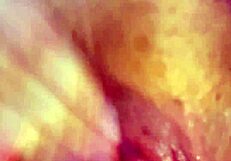 Frotar mi humedo clitoris en primer plano