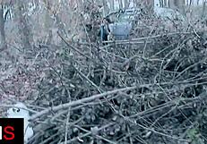sublime anal in the woods in the car slut fucked very well in the anus