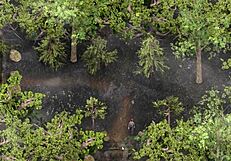 ว้าว! ดูนังโสเภณีนี้ในสามคนเย็ดมิลฟ์ใน Lust Epidemic 16!